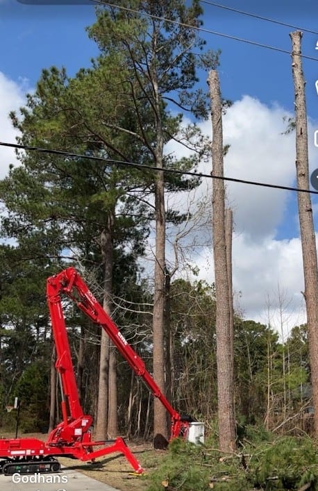 Allied Tree & Land Pros spider lift removing tall pines